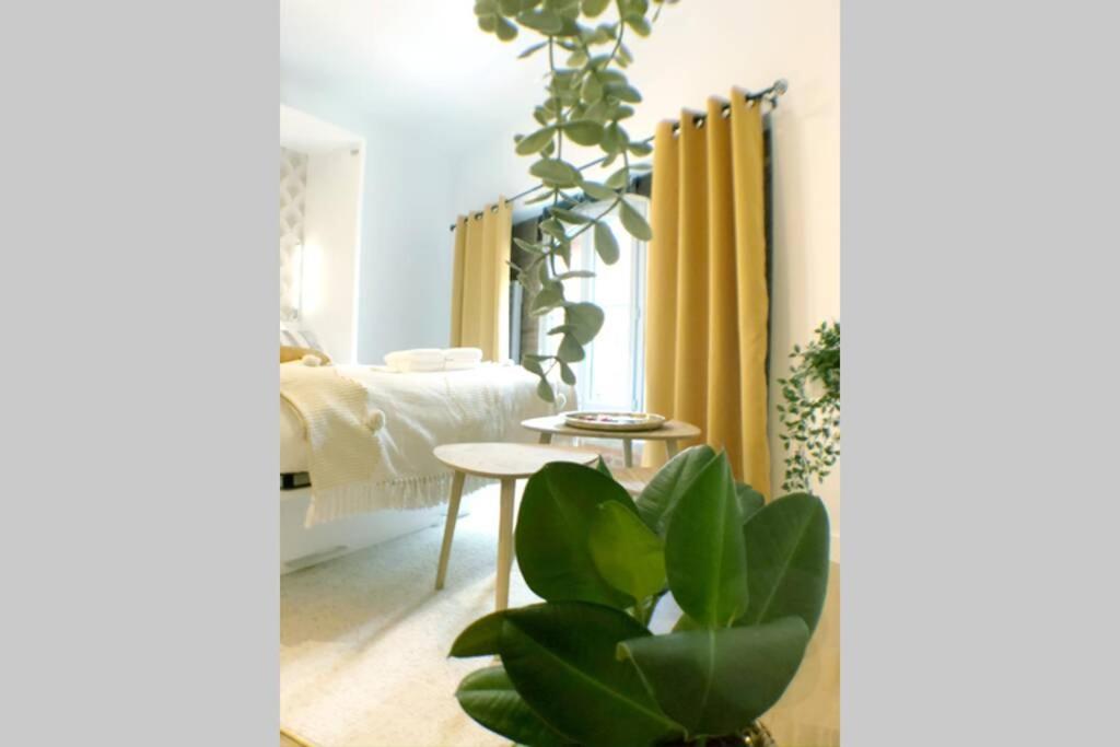 Le Floral - Hypercentre Capitole # Parking Prive # Queen Size Toulouse Bagian luar foto